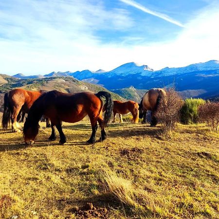 Апартаменти La Casita De La Montana Alba De Los Cardanos Екстер'єр фото